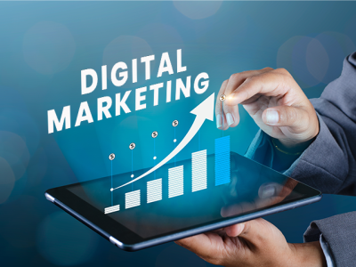 Professional Website Maintenance and Support Services for Growing Businesses