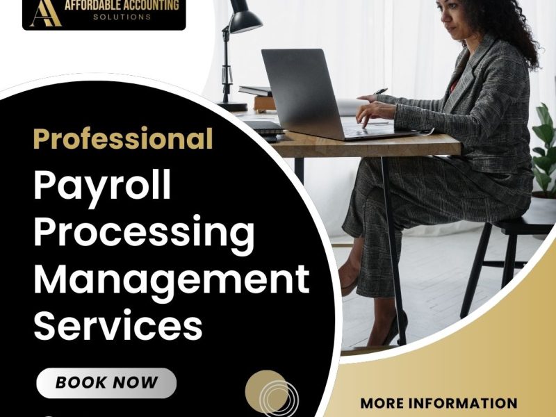 Professional Payroll Services Seattle | Affordable Accounting Solutions LLC