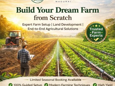 Build Your Dream Farm from Scratch