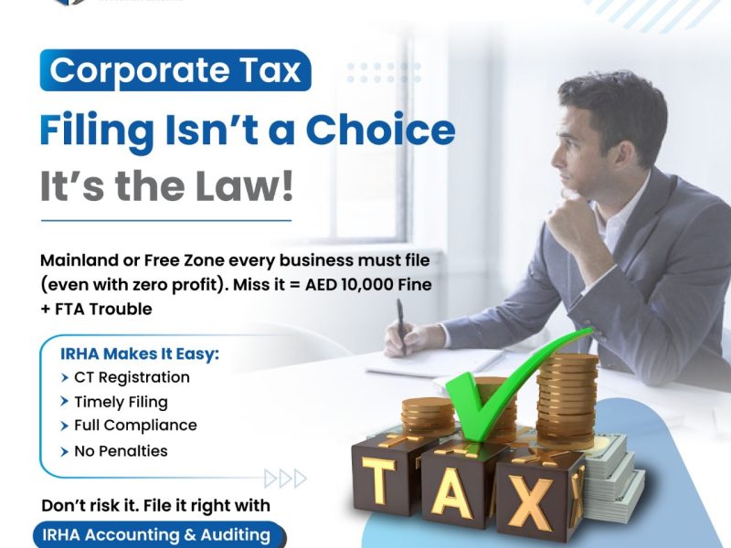 Accounting and Tax Services for Startups in UAE