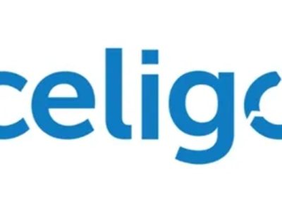 CELIGO Online Training Institute From Hyderabad India