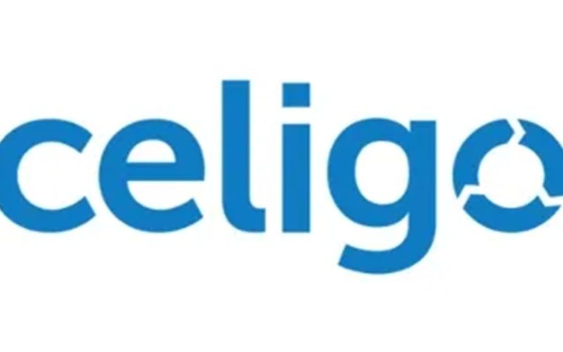 CELIGO Online Training Institute From Hyderabad India