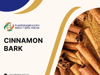 Buy Cinnamon Bark Bulk from Cinnamon Bark Exporters India | Cinnamon Bark B2B Trade Marketplace