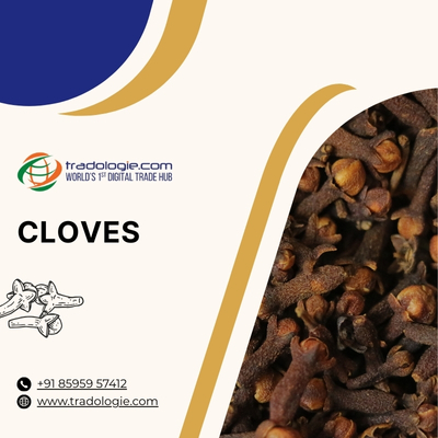 Buy Cloves Bulk from Cloves Exporters India | Cloves B2B Marketplace for Global Trade