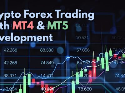 What Businesses Should Know About MetaTrader Development Services