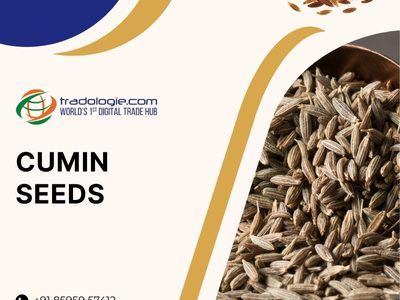 Buy Cumin Seeds Bulk from Cumin Seeds Exporters India | Cumin Seeds B2B Marketplace