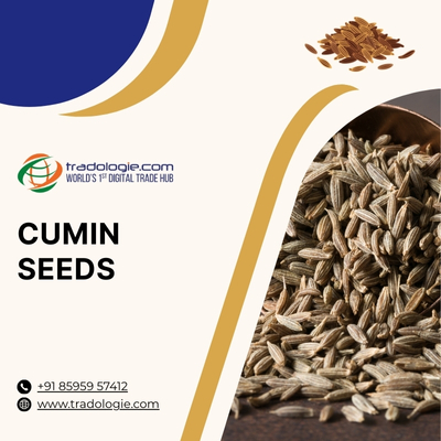 Buy Cumin Seeds Bulk from Cumin Seeds Exporters India | Cumin Seeds B2B Marketplace