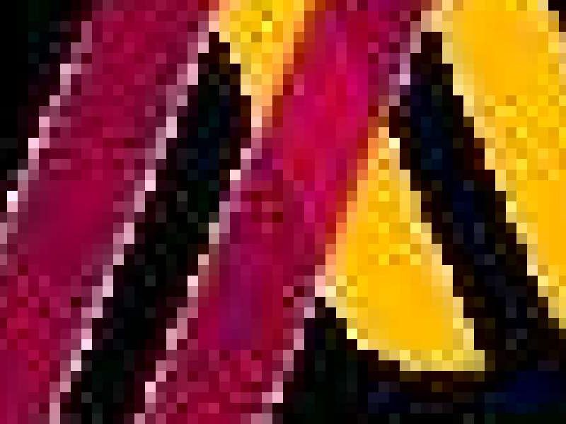 Assignment Help for Stress-Free Academic Success