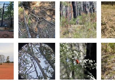 Detailed Site Investigation