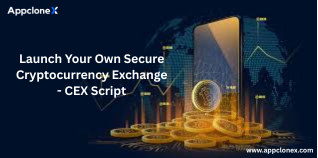 Launch Your Crypto Exchange with Instant Liquidity