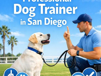 Expert Guidance from a Professional Dog Trainer in San Diego