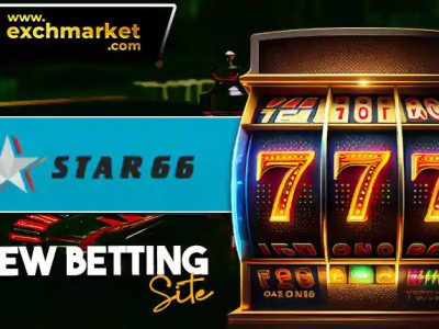 Enjoy Live Sports Updates & Online Gaming Platform