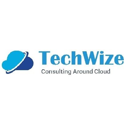 TechWize It Consultancy