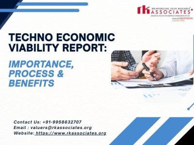 Detailed Techno Economic Viability Report for Projects