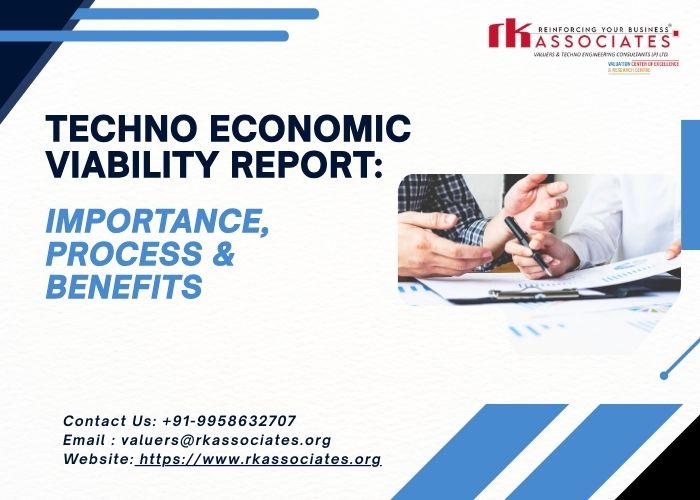 Detailed Techno Economic Viability Report for Projects