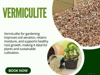 Vermiculite for Plants – Improve Soil Moisture & Root Growth