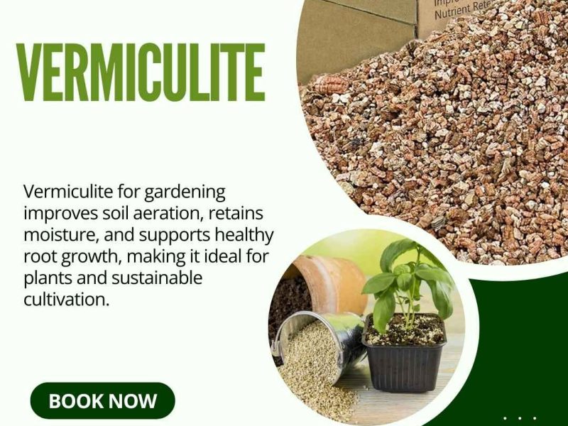 Vermiculite for Plants – Improve Soil Moisture & Root Growth