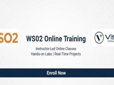 WSO2 Online Training by Real-time Trainer in India