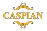 caspian furniture