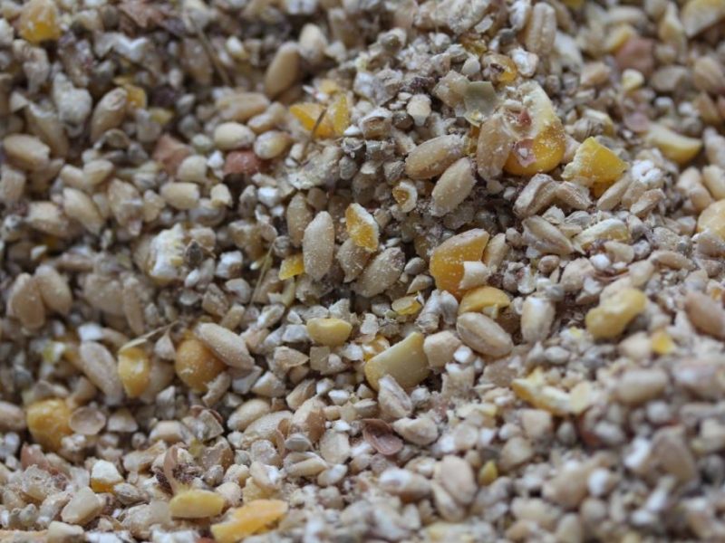 Bulk Poultry Feed Supplier Starter Grower Finisher and Layer Feed