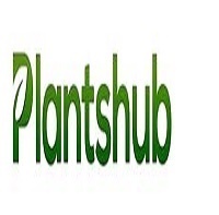 Plants Online from Best Online Store | Premium Plants for Home & Garden