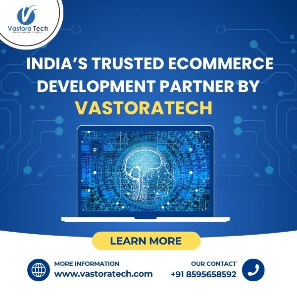 Expert E-Commerce Website Development Services by Vastoratech