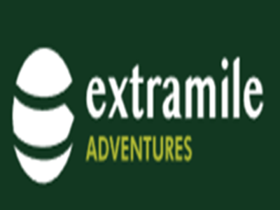 Discount Disney Vacation Packages – Save Big on Your Trip