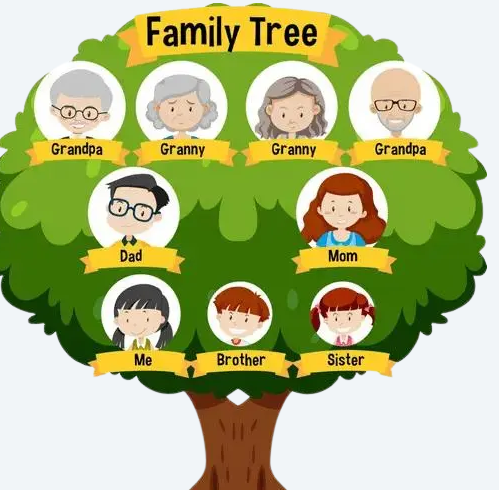 Get Expert Family Tree Maker Customer Support Today
