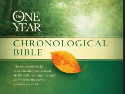 Buy One Year Chronological Bible-NIV (Paperback)