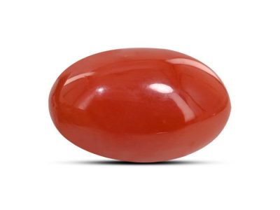 Buy Red Coral Online | Rashi Ratan Bhagya