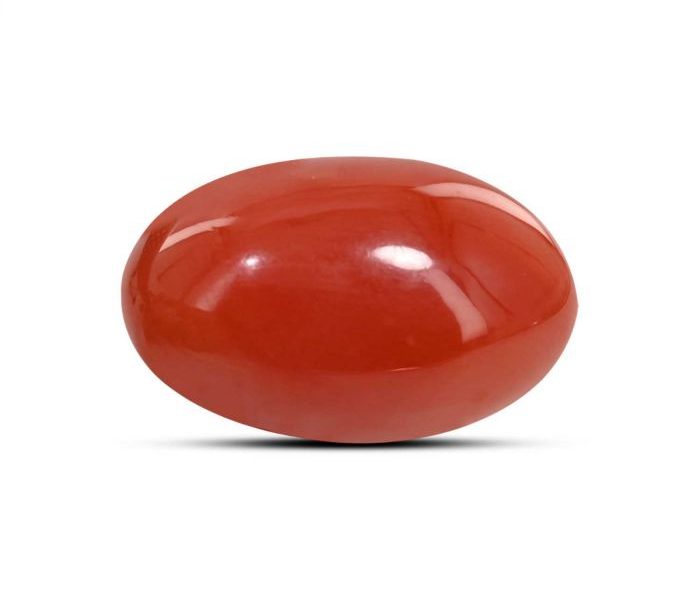 Buy Red Coral Online | Rashi Ratan Bhagya