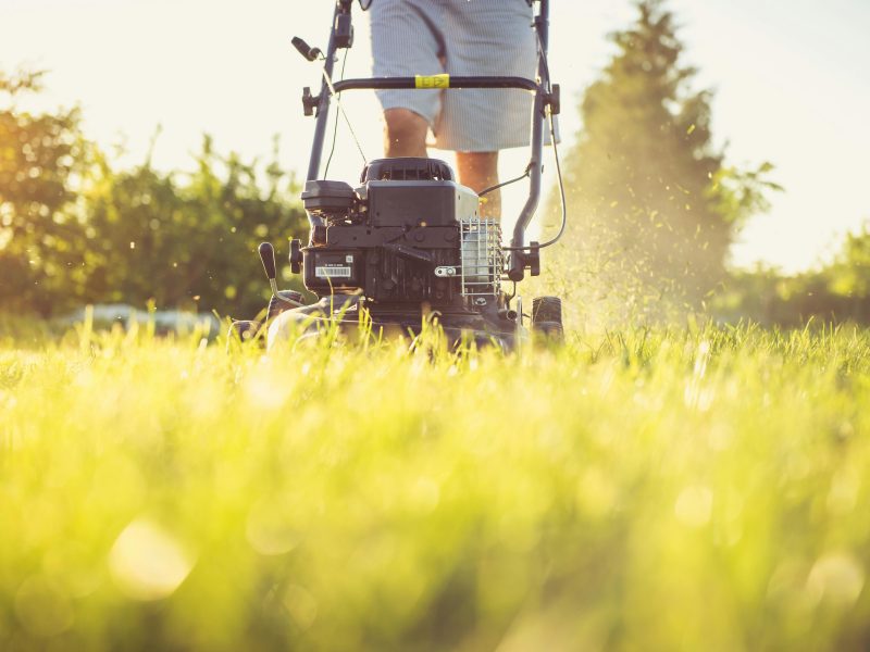 Spring & Fall Yard Clean-Up Calgary | Lawn Clean-Up & Maintenance Services