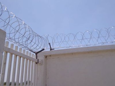 Concertina Coil Manufacturers in India