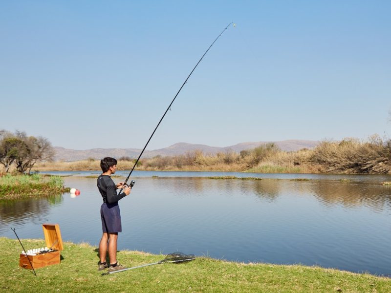 Discover Comfort & Character: Your Guide to Accommodation in South Africa