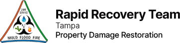 RapidRecovery Tampa