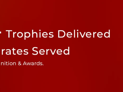 Best Employee Trophy for Corporate Events