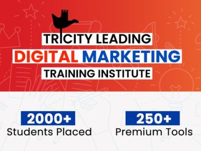 Best SEO Training in Chandigarh with Practical Learning – WebHopers Academy