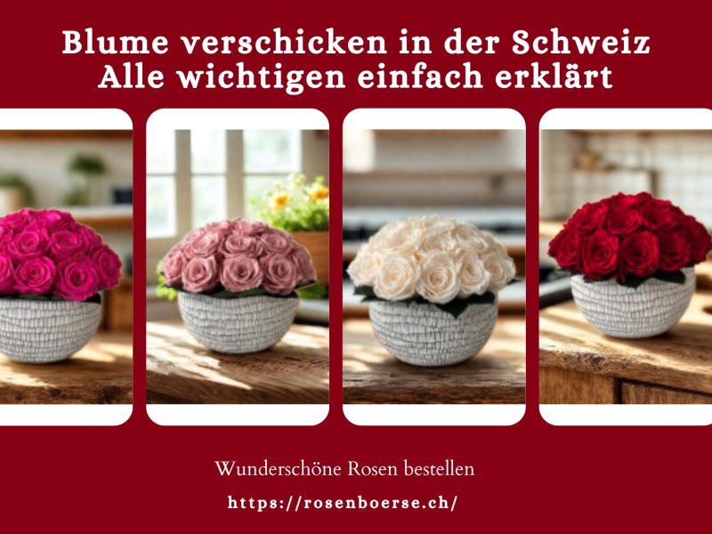 Blume verschicken in der Schweiz – Alle wichtigen einfach erklärt