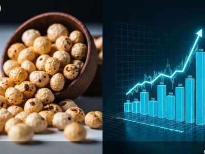 Reliable Makhana Exporter in India for Global Buyers