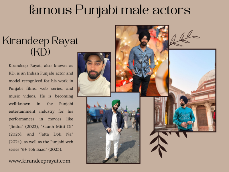 Who are the most well-known male Punjabi actors? Check out the best Pollywood stars