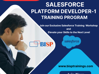 Salesforce Platform Developer I Certification Online Training | BISP