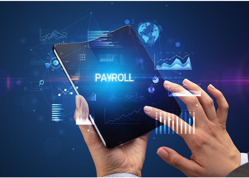 Adeeb Payroll & Compliance Services in Gurgaon: Simplifying HR Operations