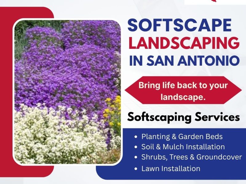 Softscape Landscaping in San Antonio