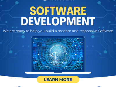 Software Development Services by CZARS India Pvt Ltd