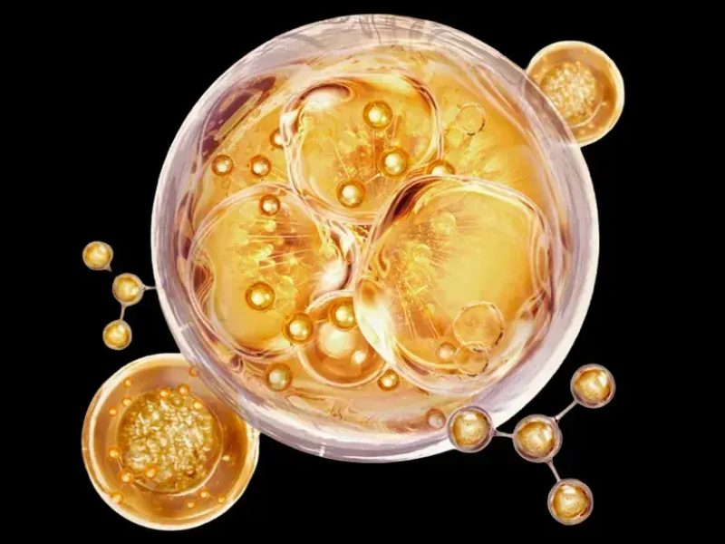 The PDRN Engine: Advanced Biological Regeneration for Skincare