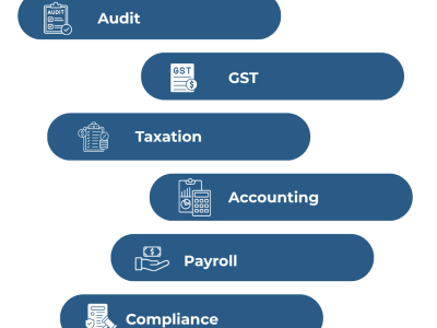 Chartered Accountant in Delhi, Noida & Gurgaon