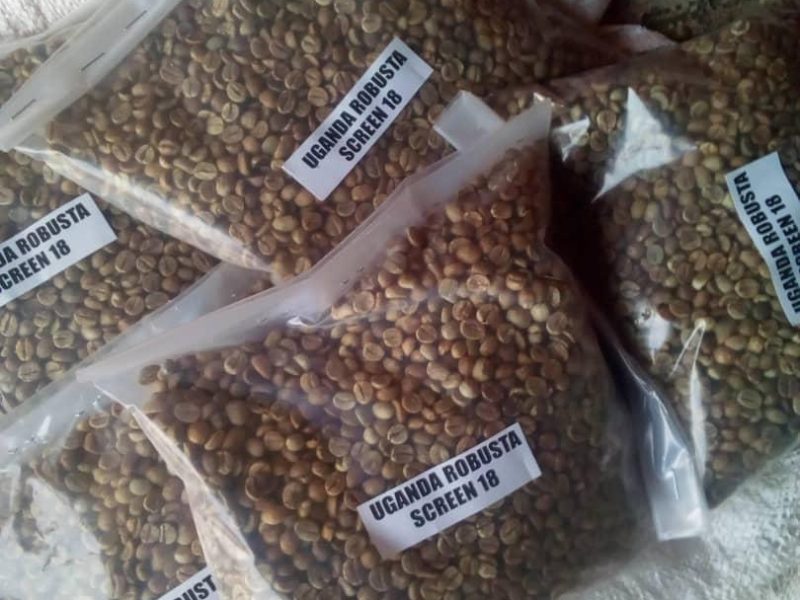 ARABICA AND ROBUSTA COFFEE BEANS