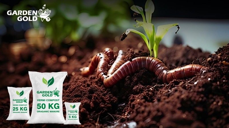 Advantages of Vermicomposting for Organic Farming