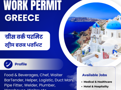 IMMIGRATION CONSULTANT