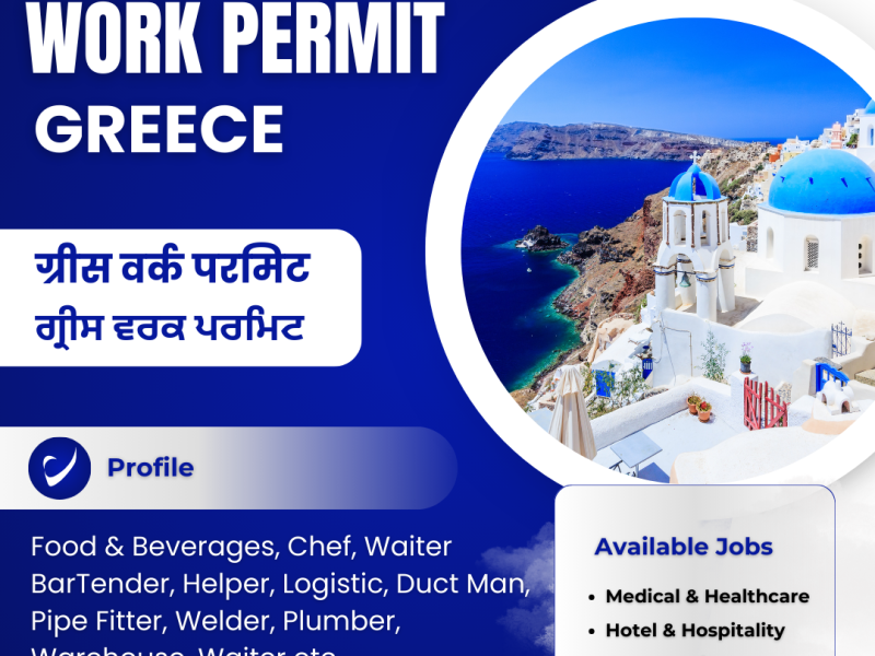 IMMIGRATION CONSULTANT